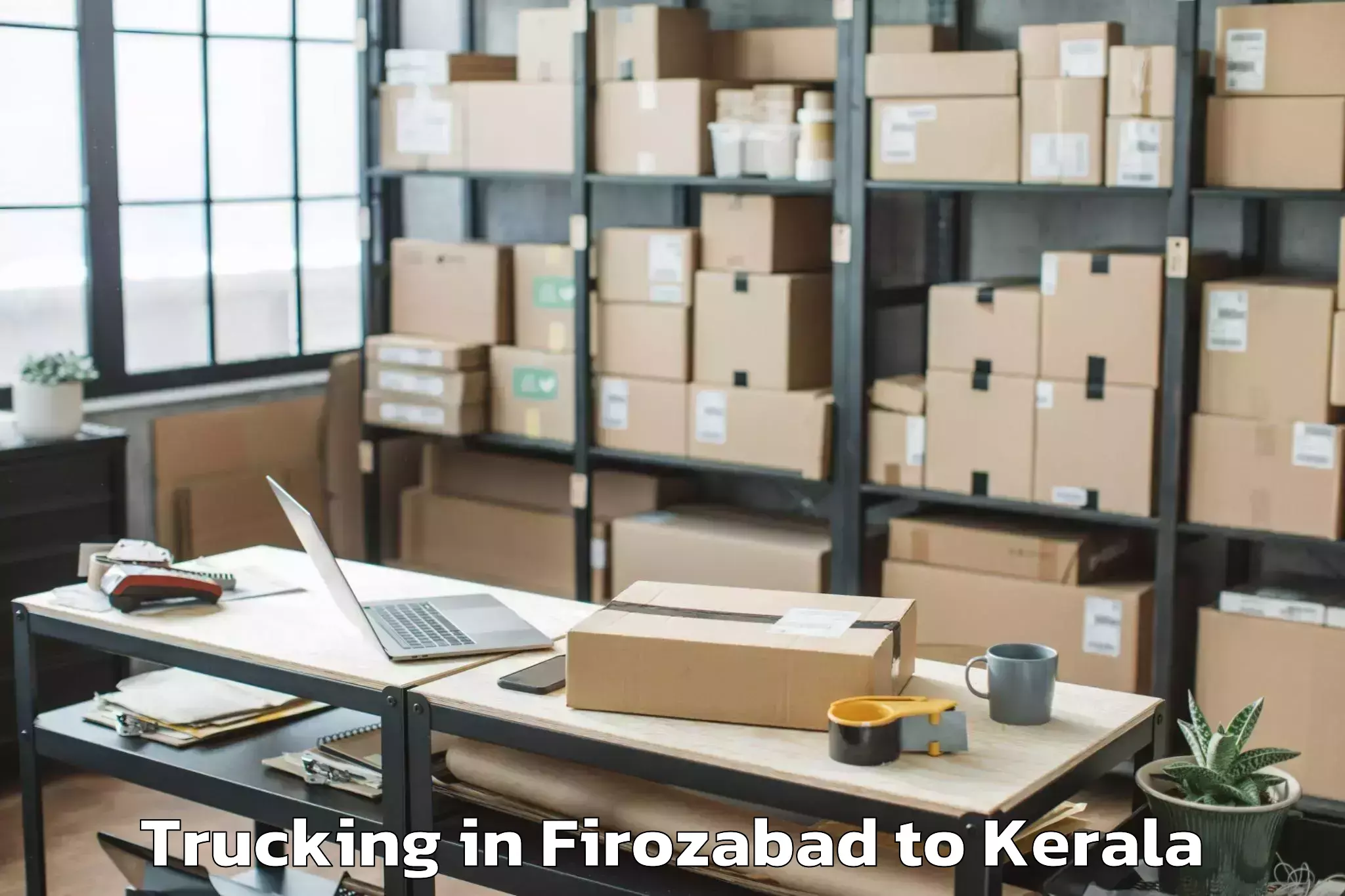 Professional Firozabad to Angamali Trucking